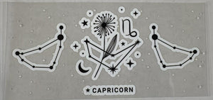 102 Capricorn