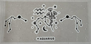 103 Aquarius