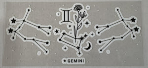 107 Gemini