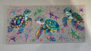 240_Turtles2