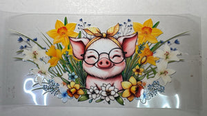 255_Pig