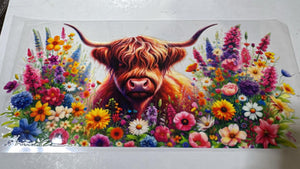 262_Cow8