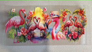 297 Flamingo1