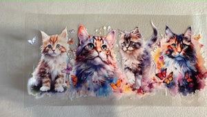 306 kitty2