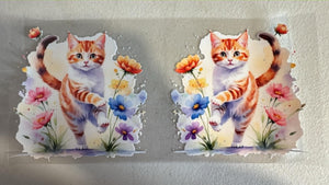 309 kitty5