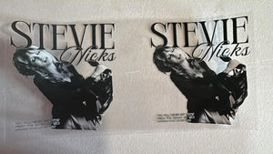 328 StevieNicks1
