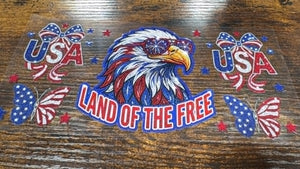 748 Merica2