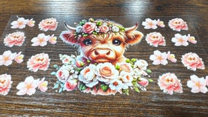 773 Cow8