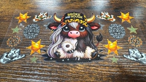 801 Cow36
