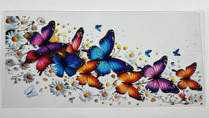 95 MCButterfly2